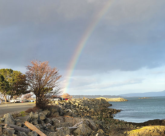 beach oak bay
